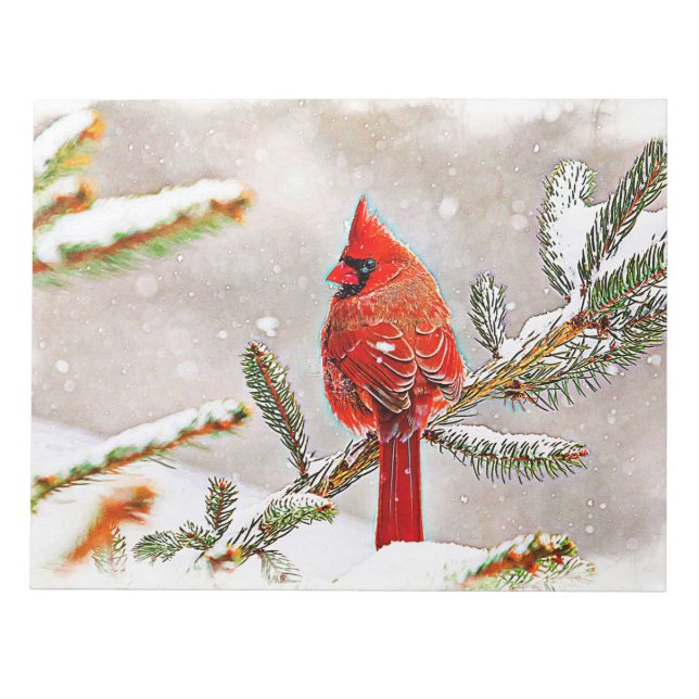 Cardinal in a pine tree in winter notepad (Front)