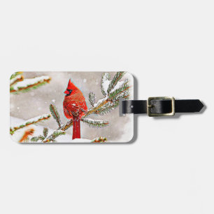 Cardinal in a pine tree luggage tag