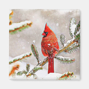 Cardinal in a pine tree magnet