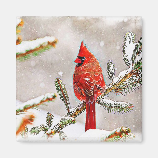 Cardinal in a pine tree magnet (Front)