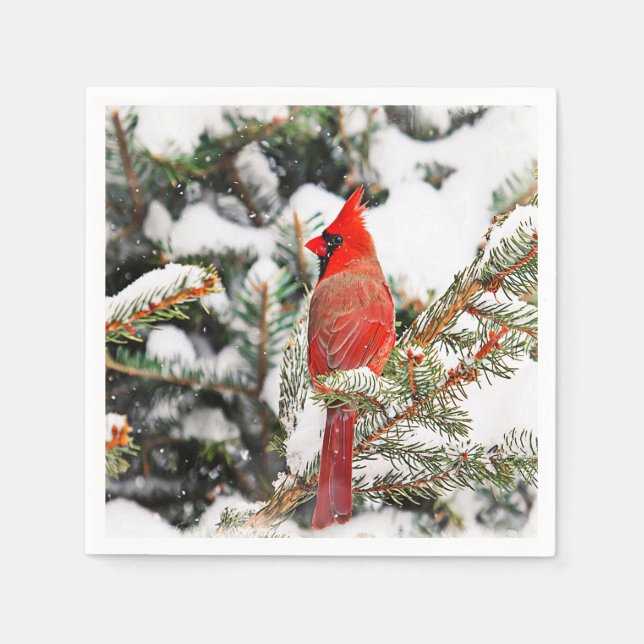 Cardinal in a pine tree napkin (Front)
