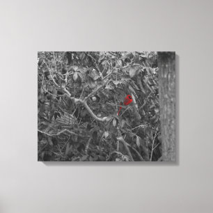 Cardinal in a Tree Stretched Canvas Print