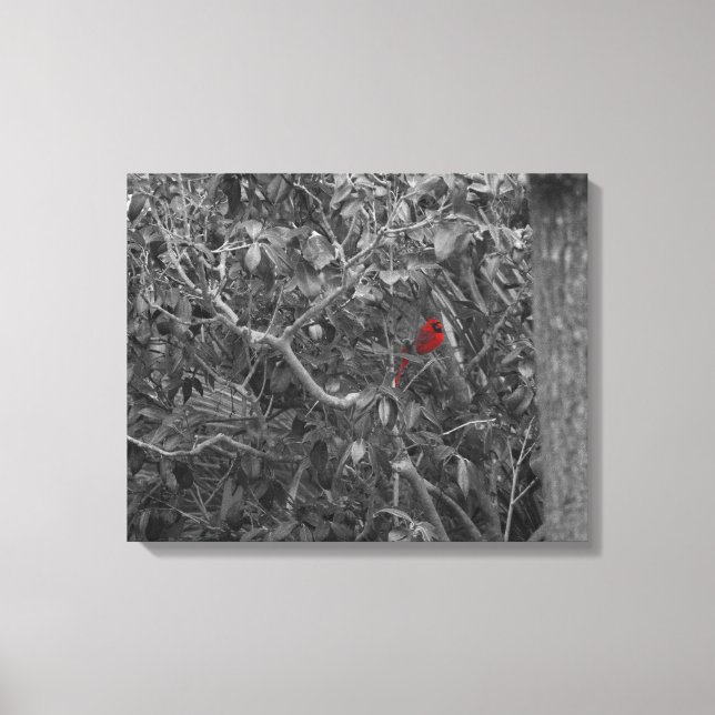 Cardinal in a Tree Stretched Canvas Print (Front)
