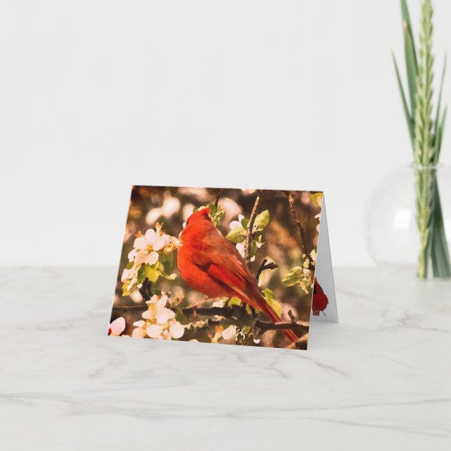 Cardinal in Apple Blossoms Thank You Card (Front)