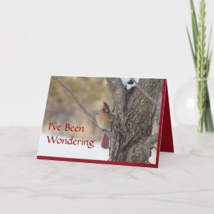 Cardinal in Ash tree-customize any occasion Card
