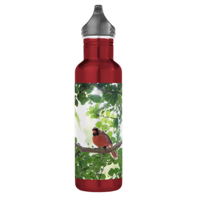 Cardinal in Crepe Myrtle, Personalized 710 Ml Water Bottle (Right)