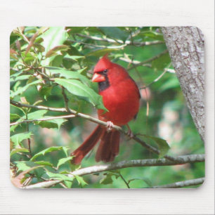 Cardinal in Holly Mouse Pad