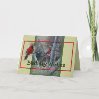 Cardinal in Maple Tree- customize any occasion