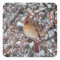 Cardinal in snow Christmas stickers