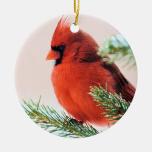 Cardinal in Snow Dusted Fir Ceramic Ornament