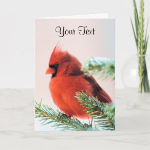 Cardinal in Snow Dusted Fir Holiday Card