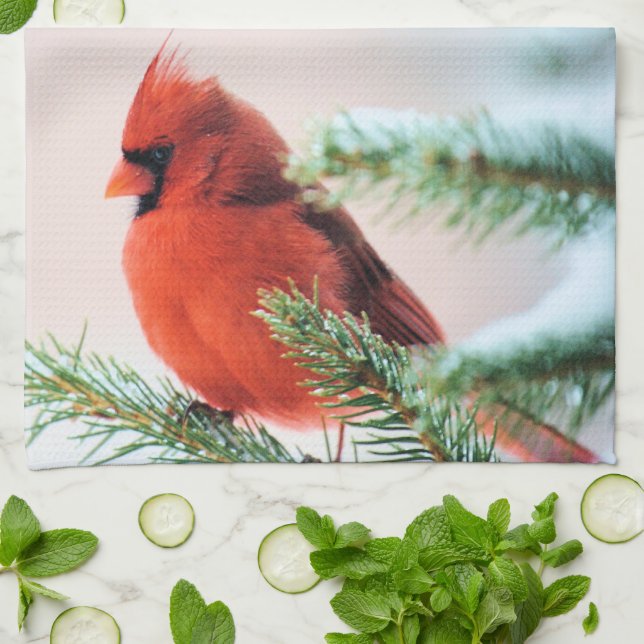 Cardinal in Snow Dusted Fir Kitchen Towel (Folded)