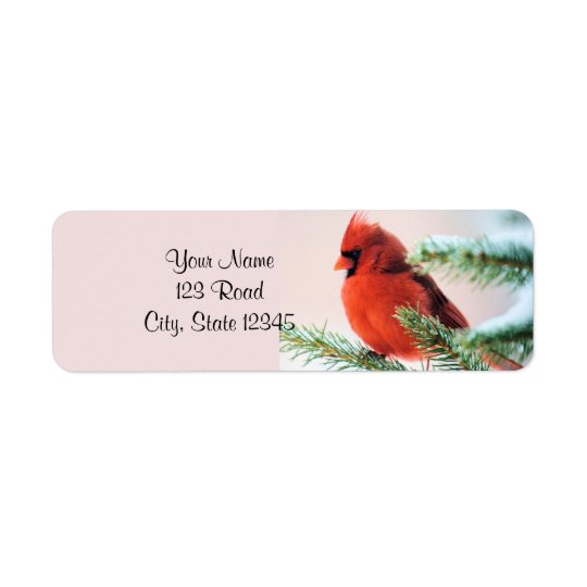 Cardinal in Snow Dusted Fir Return Address Label
