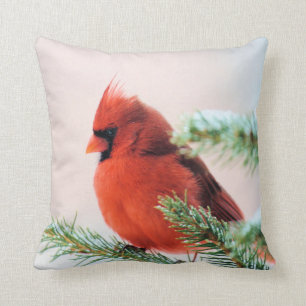 Cardinal in Snow Dusted Fir Throw Pillow