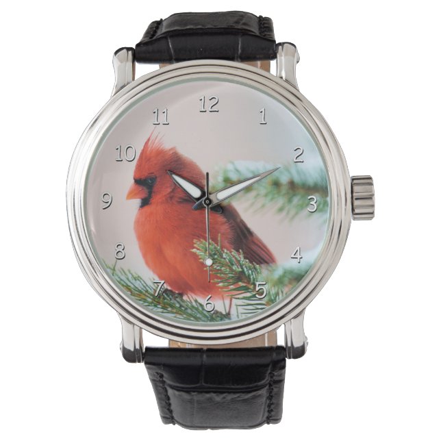 Cardinal in Snow Dusted Fir Tree Watch (Front)