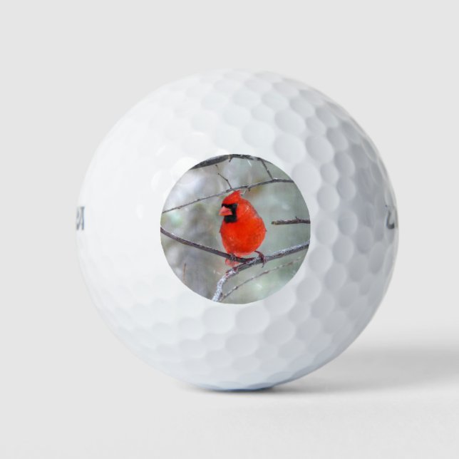 Cardinal in Snow Golf Balls (Front)