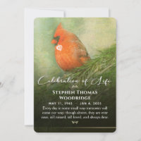 Cardinal in Spruce Celebration of Life 5x7 Invitat