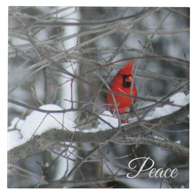 Cardinal in the Snow Tile (Front)