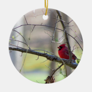 Cardinal in Tree    Ceramic Ornament
