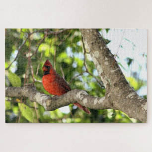Cardinal in Tree Photography Jigsaw Puzzle