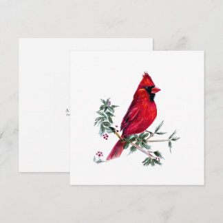 Cardinal in Watercolor by Amy DeVane Art Cards