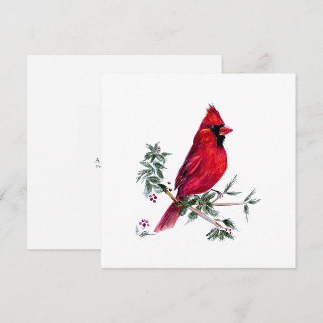 Cardinal in Watercolor by Amy DeVane Art Cards (Front/Back)