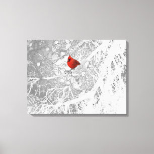 Cardinal in Winter Canvas Print