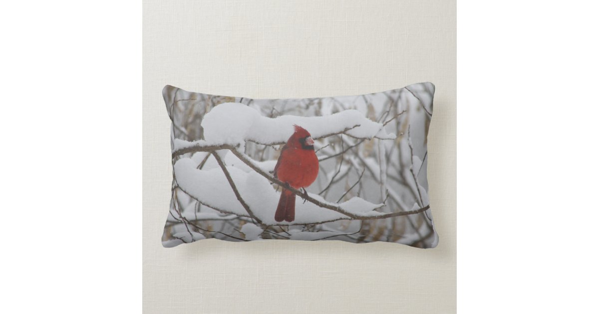 Cardinal in winter snow pillow Zazzle.ca