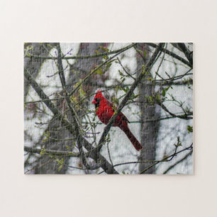 Cardinal Jigsaw Puzzle