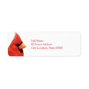 Cardinal masculin fier