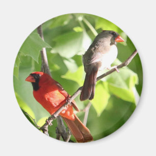 Cardinal Mates Magnet