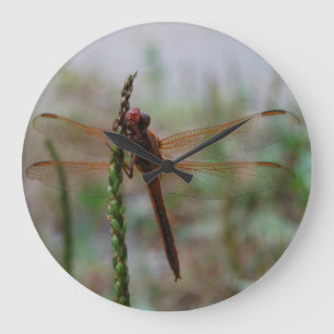 Cardinal Meadowhawk Dragonfly Large Clock