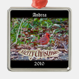 Cardinal Merry Christmas Ornament to Personalize