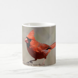 Cardinal mug