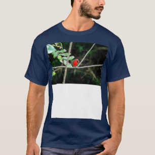 cardinal nord rouge TShirt