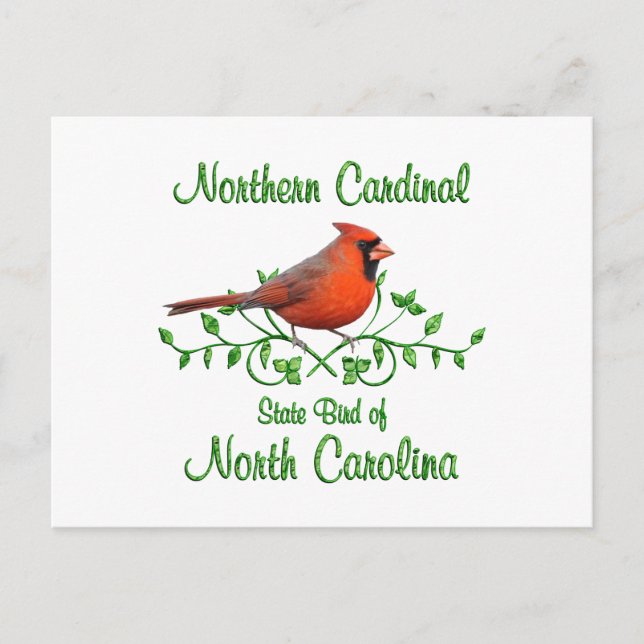 Cardinal North Carolina Bird Postcard (Front)