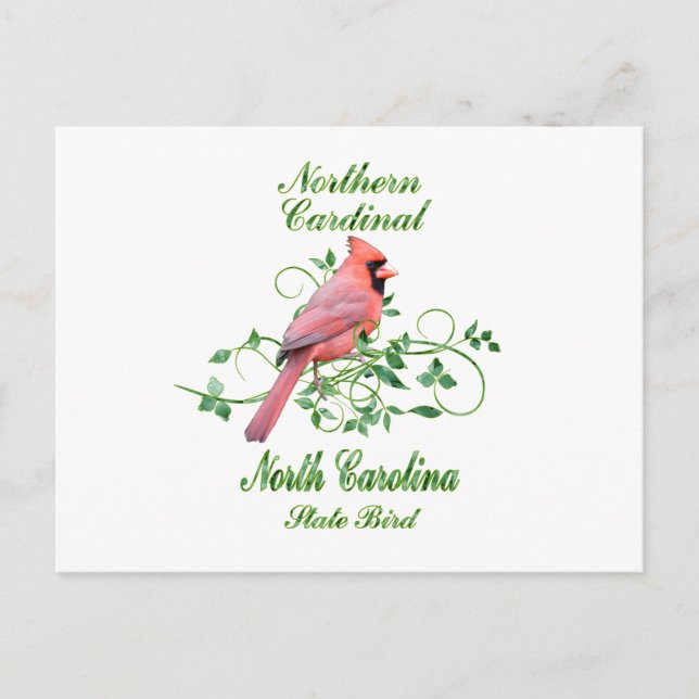 Cardinal North Carolina State Bird Postcard (Front)