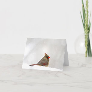Cardinal Note/Greeting Card