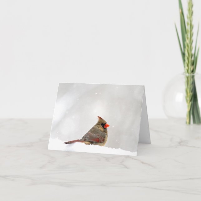 Cardinal Note/Greeting Card (Front)