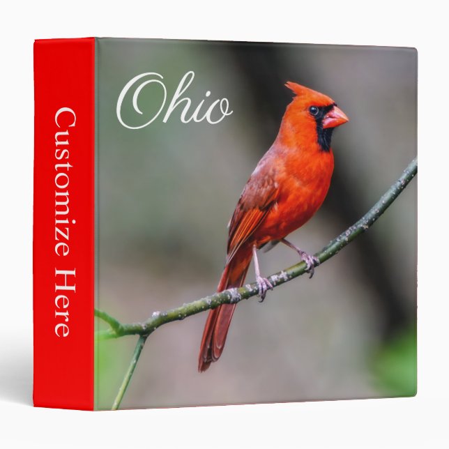 Cardinal Ohio One Touch EZD™ Ring Avery Classeur (Devant/Côté)