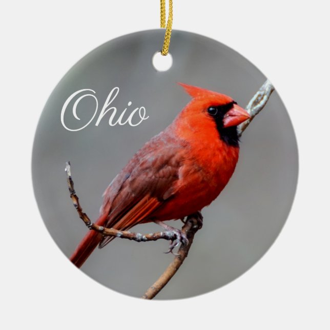 Cardinal Ohio Ornament (Front)