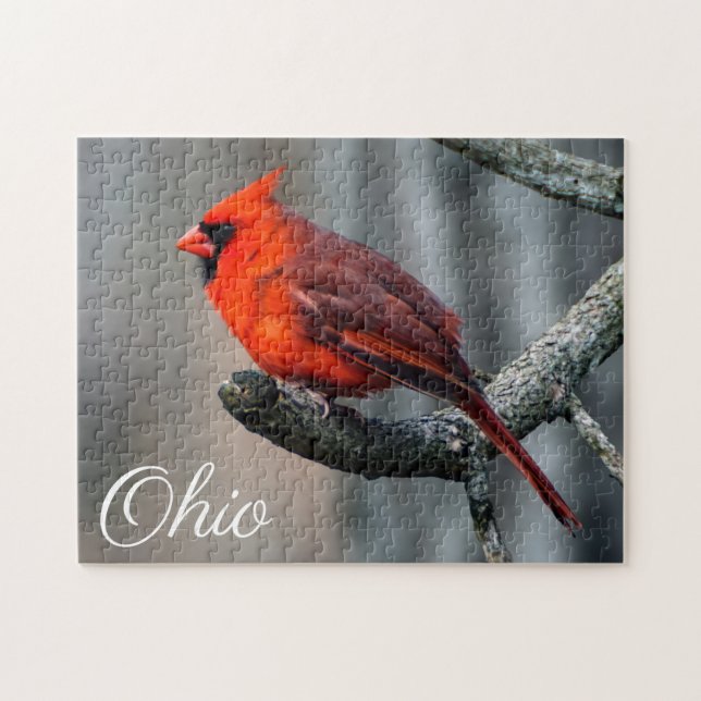 Cardinal Ohio Puzzle (Horizontal)