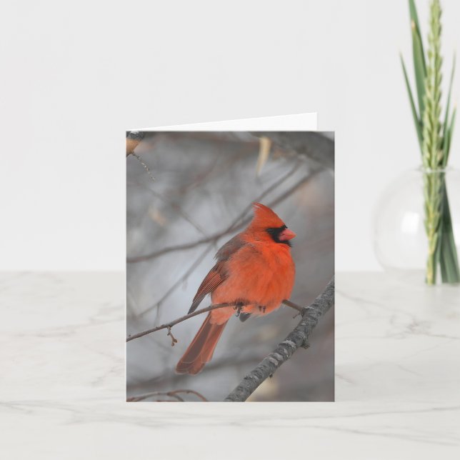 Cardinal oiseau blanc carte pour notes (Devant)