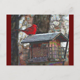 Cardinal on a Birdfeeder Postcard