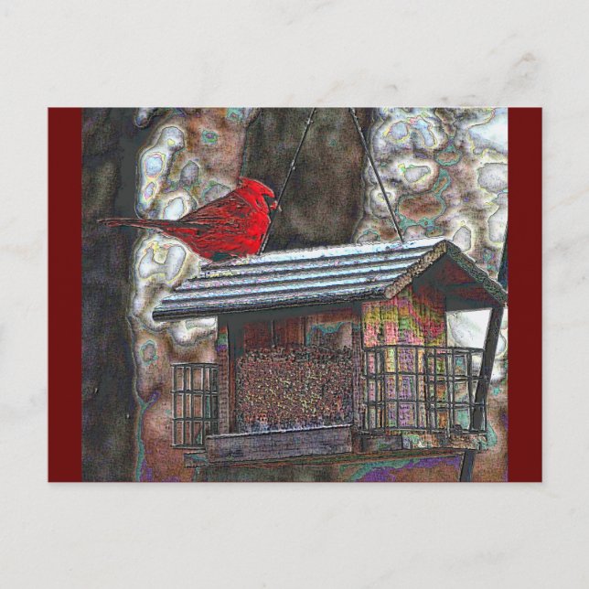 Cardinal on a Birdfeeder Postcard (Front)
