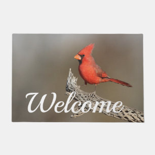 Cardinal on a cholla  doormat