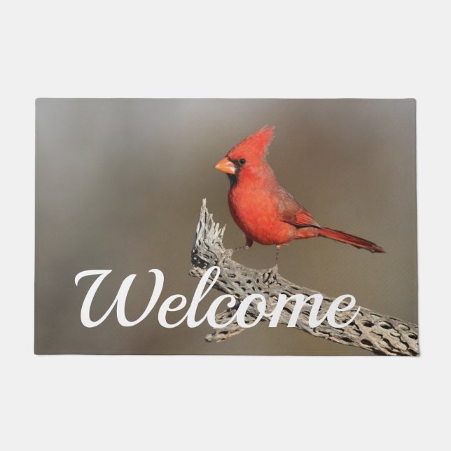 Cardinal on a cholla  doormat (Front)