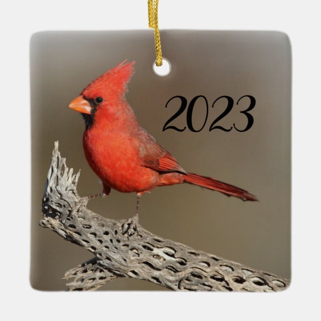 Cardinal on a cholla rib ceramic ornament (Front)