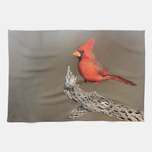 Cardinal on a cholla rib  kitchen towel