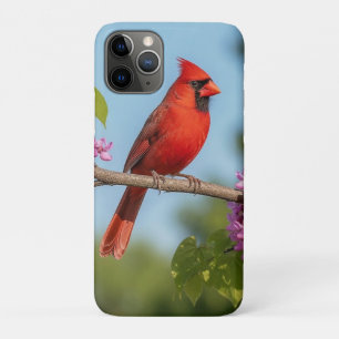 Cardinal on a Redbud Branch iPhone 11 Pro Case